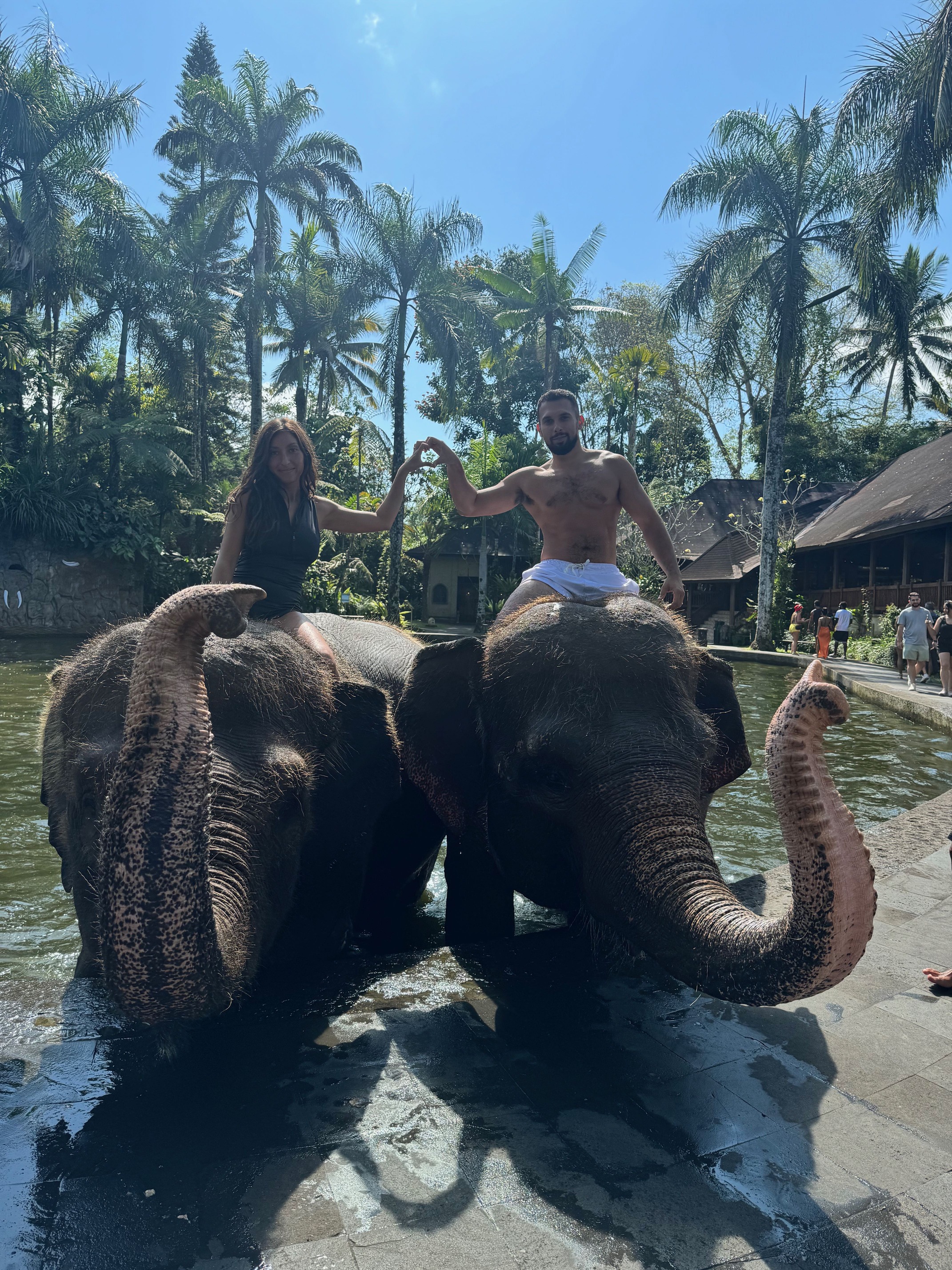 Mason Elephant Lodge