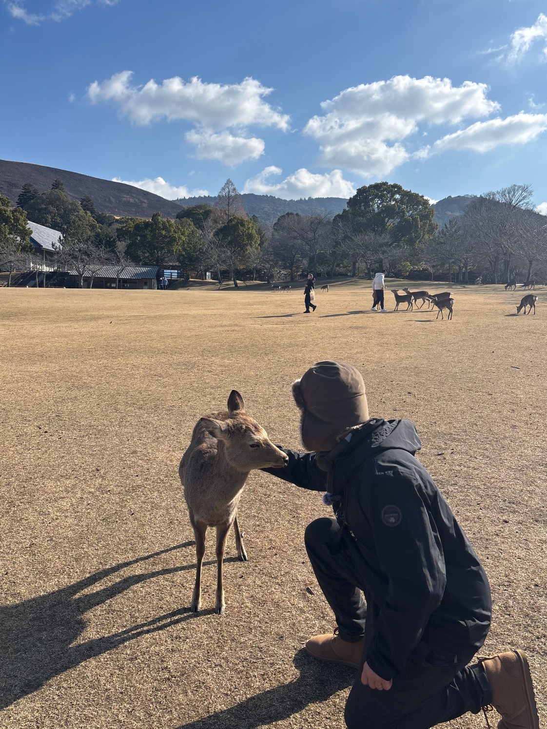 Nara Deer Park