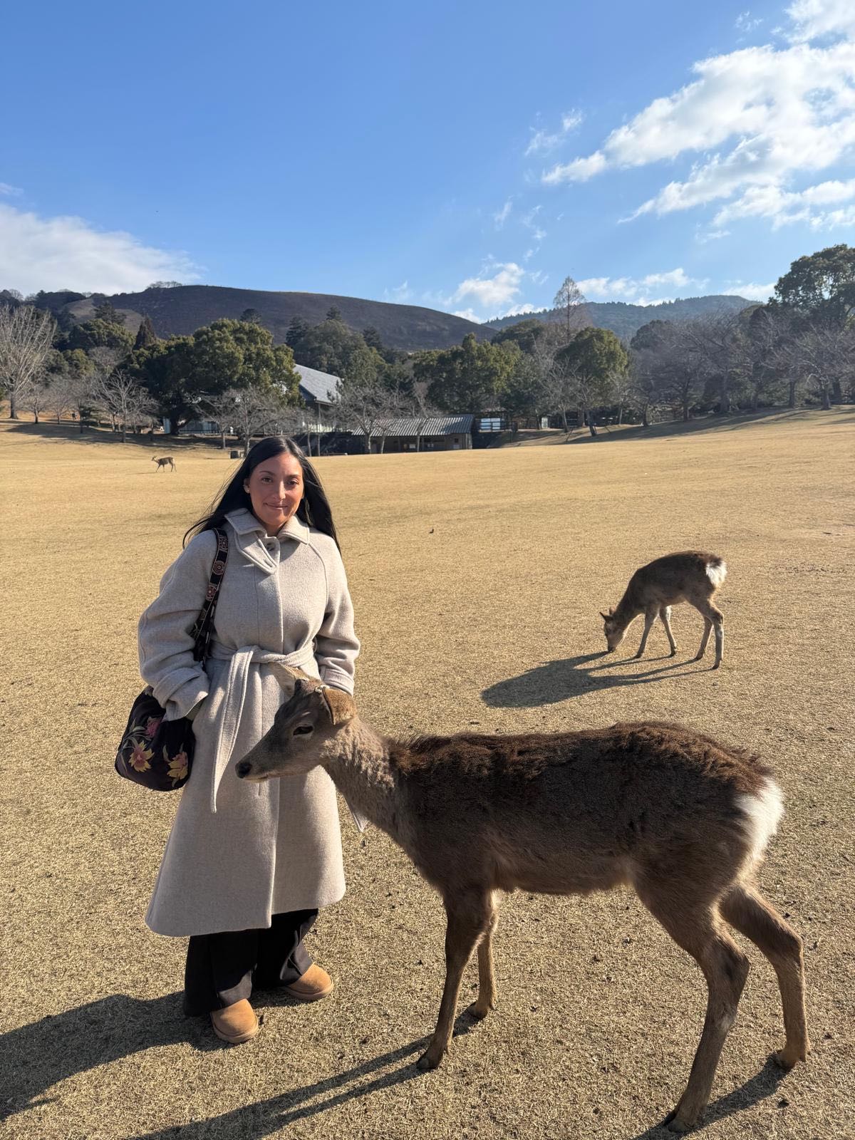 Nara Deer Park