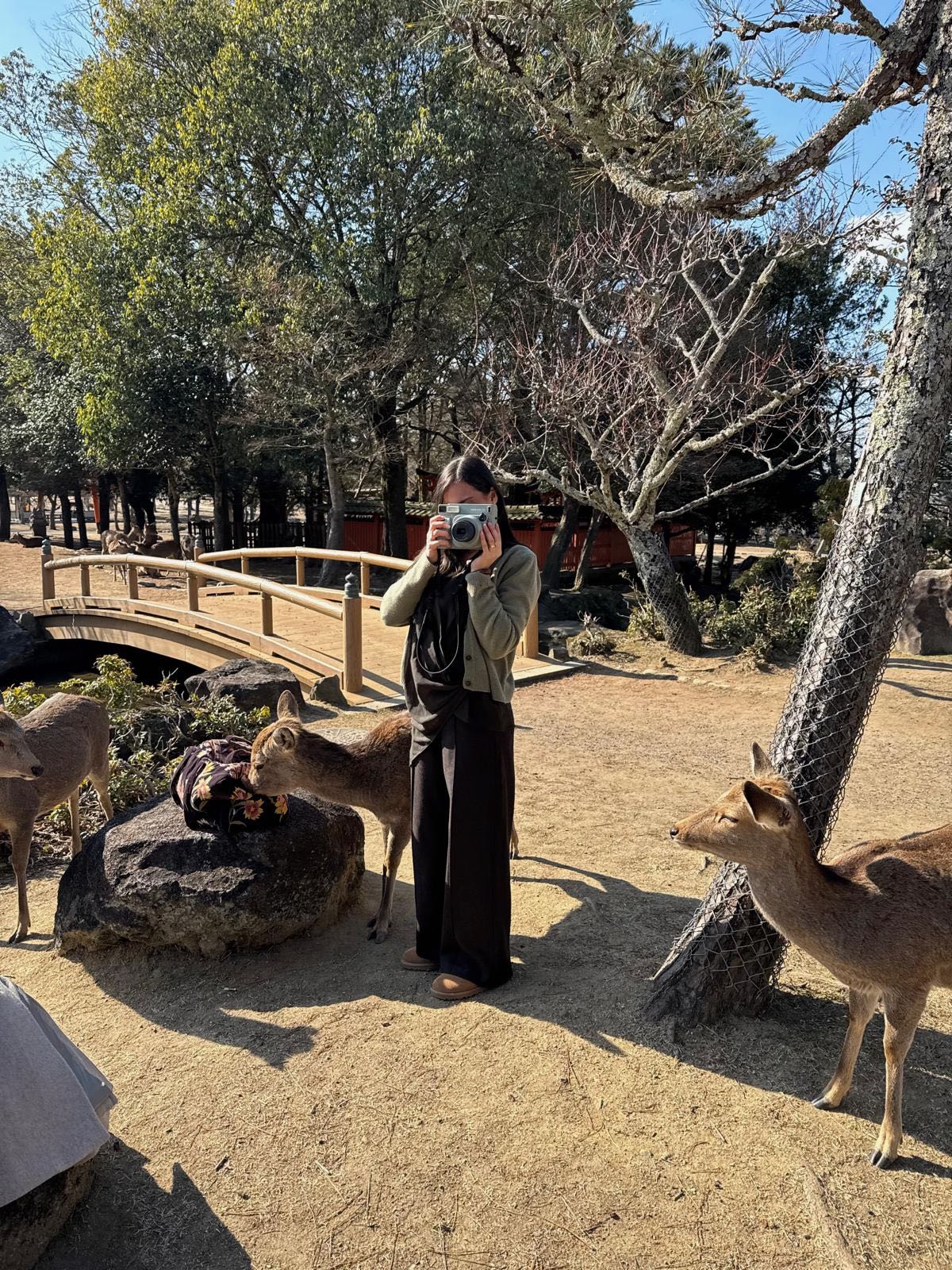 Nara Deer Park